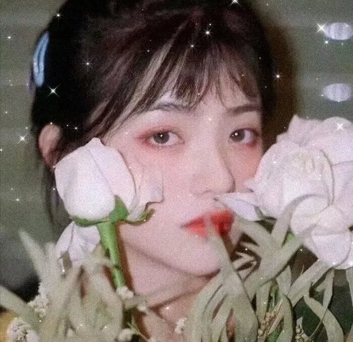 那年那兔那些事第一季 高清封面